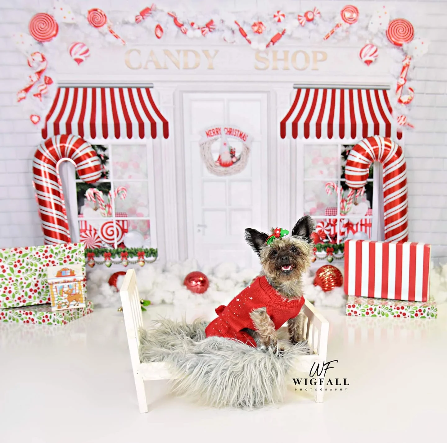 Product image 15