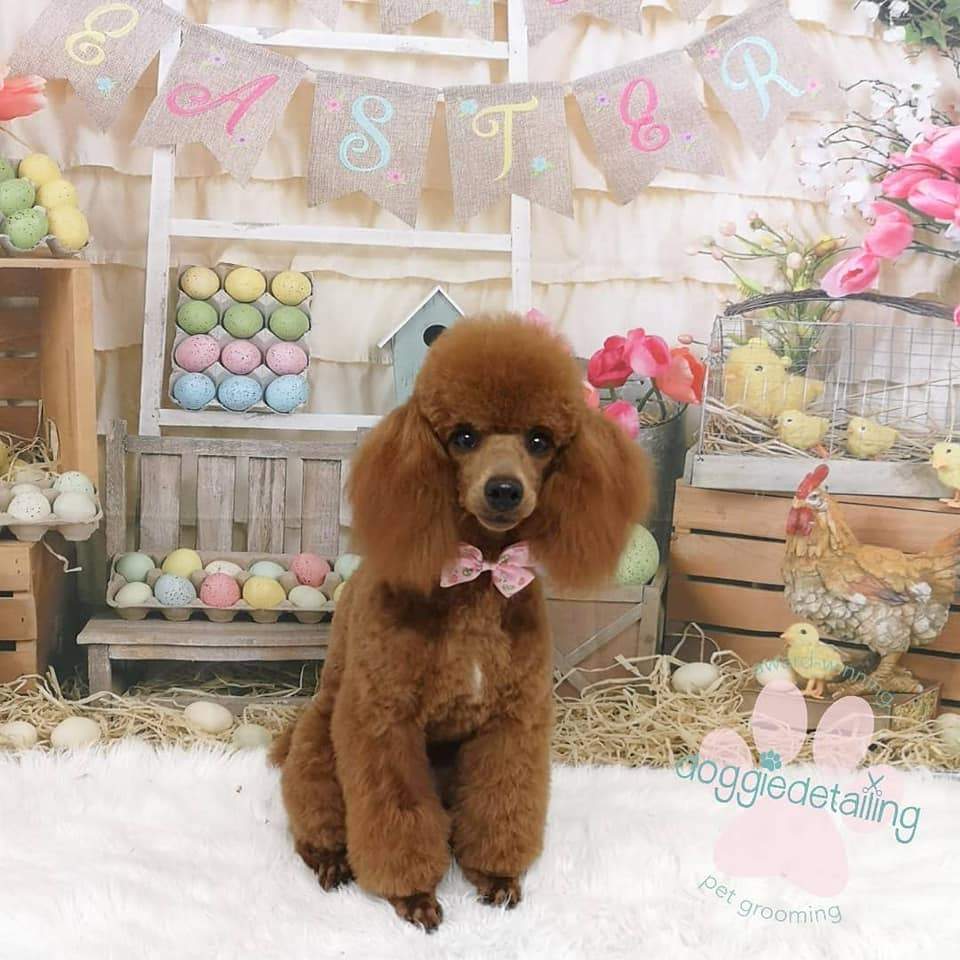 Product image 27